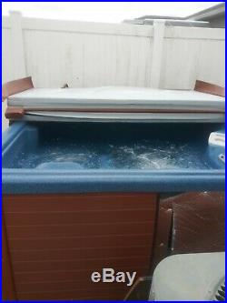 5 Person Hot Tub Spa Thermo Spa withchemicals