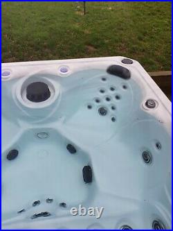 Blue whale hot tub spa