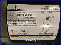 Emerson Hot Tub Spa Pump & Motor 230 V 3450 RPM Model # K63MWENE-4731