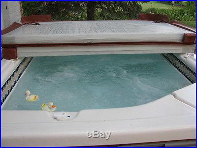 Hot Springs Prodigy Hot Tub Spa