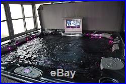 REDUCED Cal Spa 6 seater With TV and DVD Radio Speaker System (New Pump Motor)
